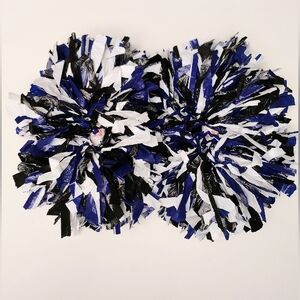 CHEERLEADER POM POMS